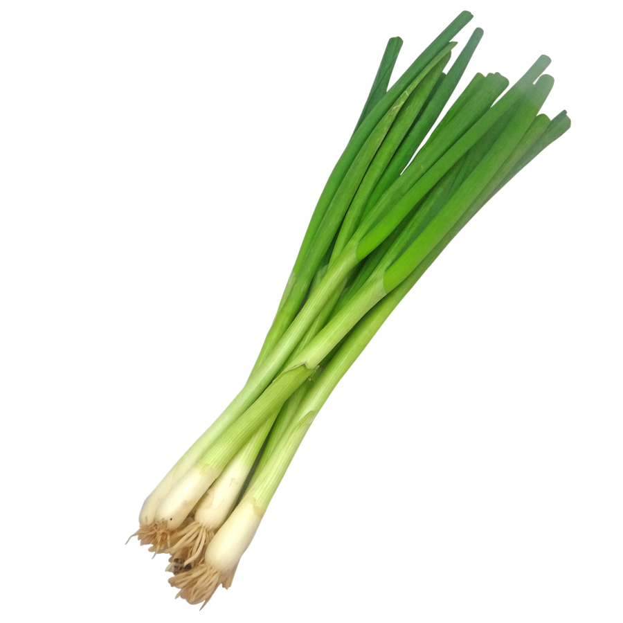 Onion Spring 250 gr