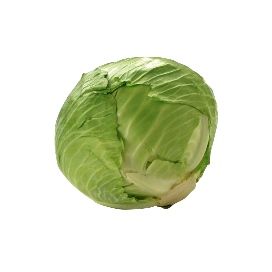 Cabbage Green 1 head