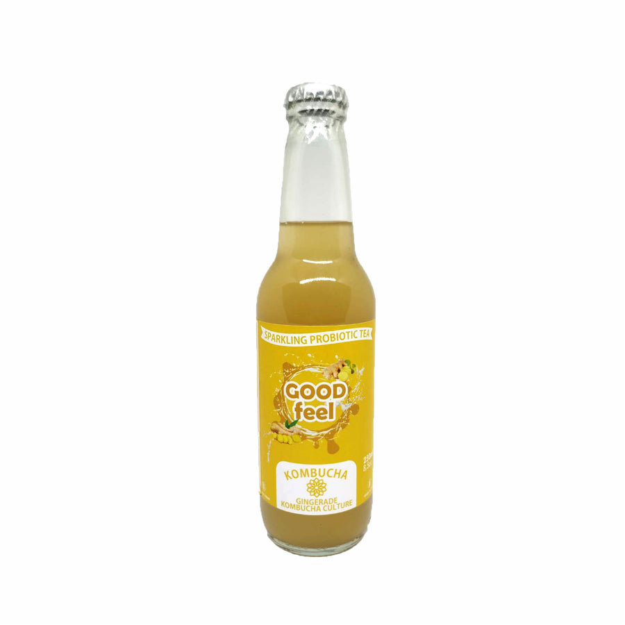 Kombucha Ginger Good Feel