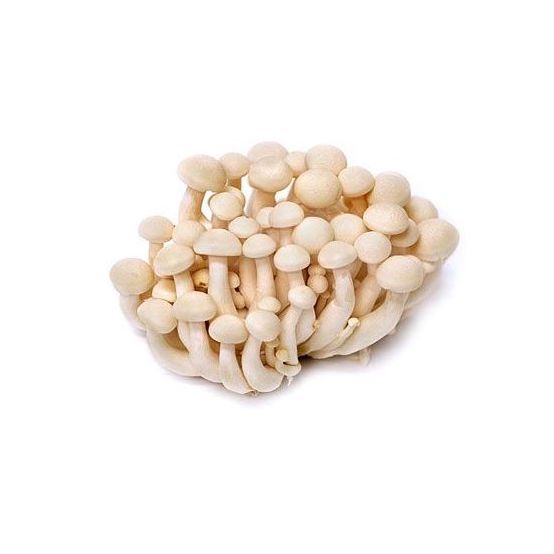 Mushroom Shimeji White 120 gr