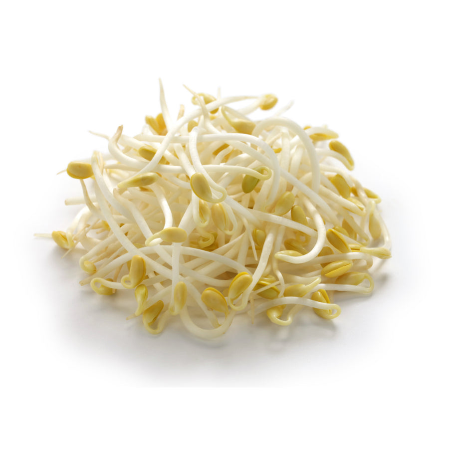 Bean Sprouts 250 gr
