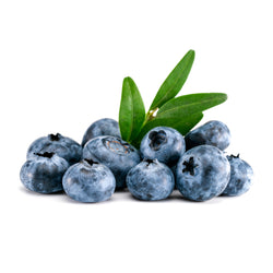 Blueberry Fresh 125 gr