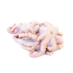 Octopus Baby Frozen 1 kg